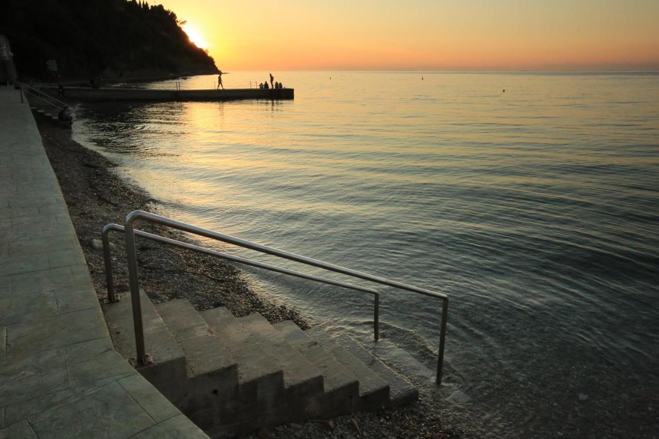 Morski Gaj Resort ピラン エクステリア 写真