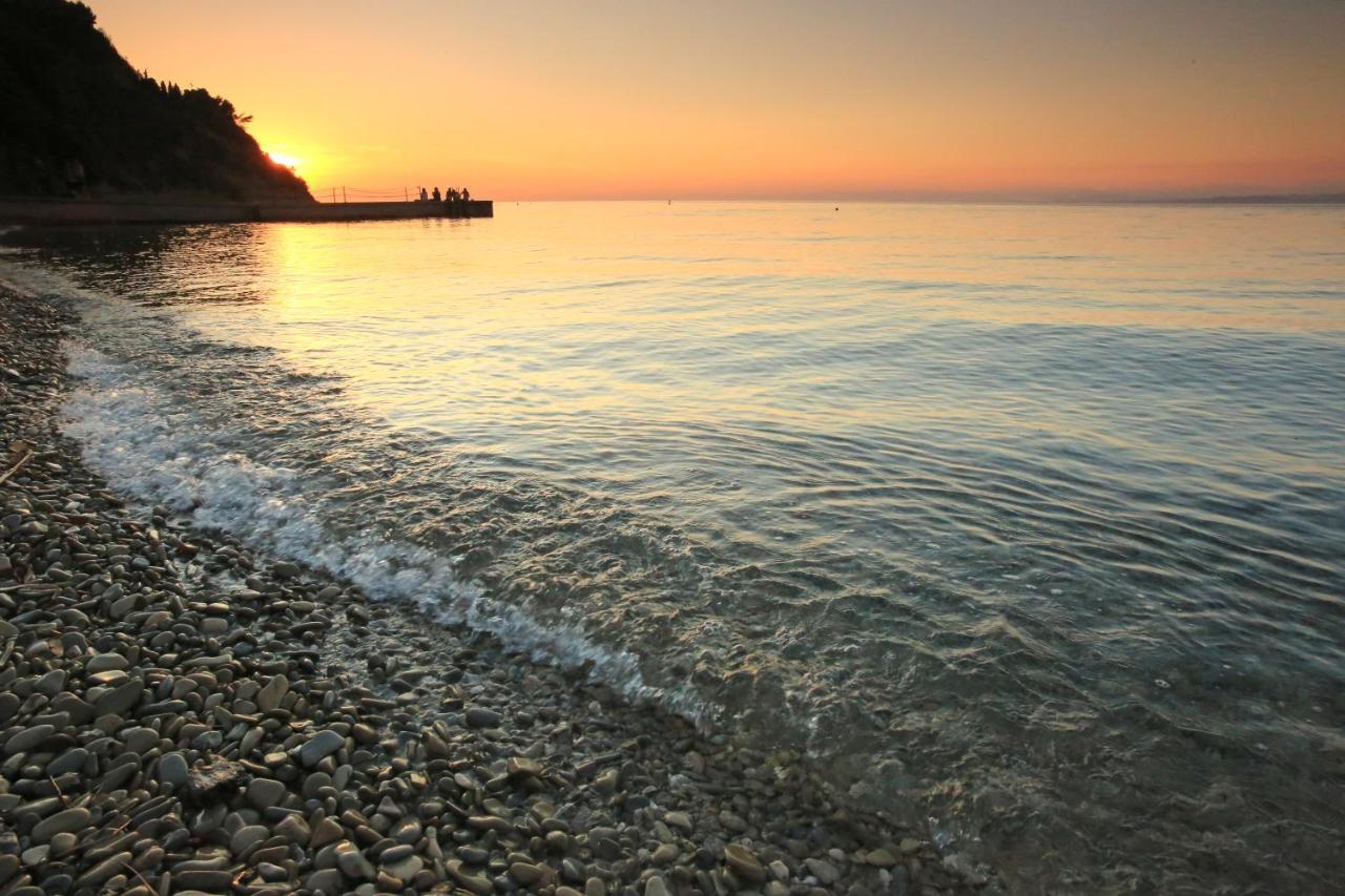 Morski Gaj Resort ピラン エクステリア 写真
